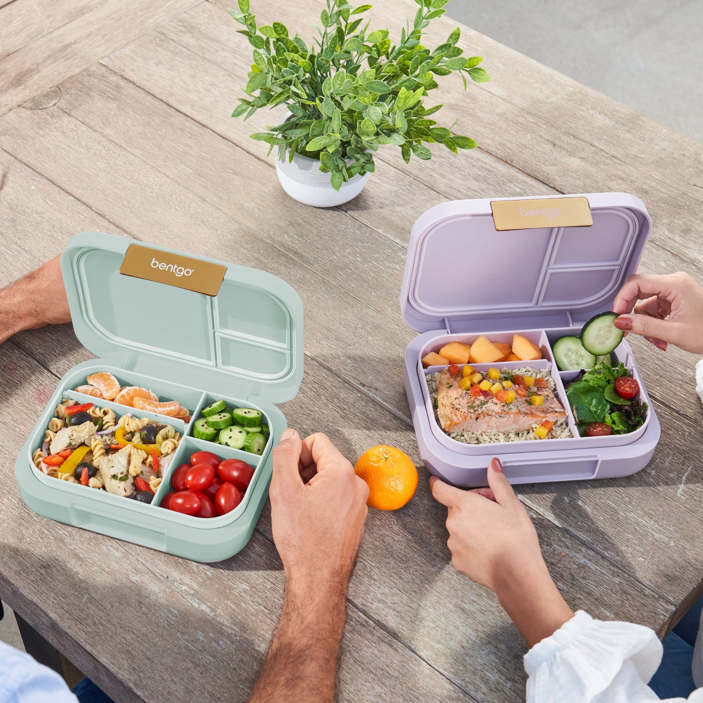 bentgo-modern-lunch-box-2-pack-o4 COSTCOBMCPRODUCTIMAGE_2.jpg